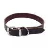 Coastal Pet Products Circle T Latigo Leather Town Dog Collar 1" X 24"