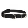 Lupine Pet Basic Solids Martingale Training Collar