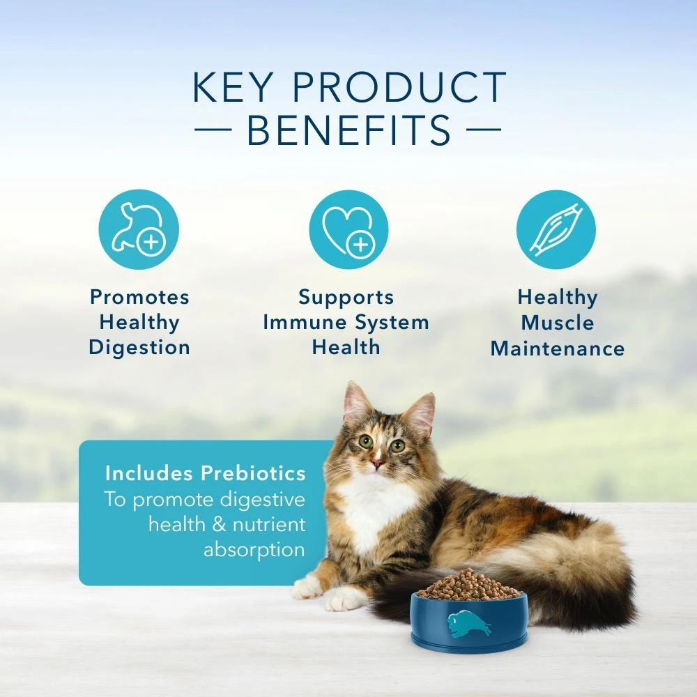 Blue Buffalo Sensitive Stomach Natural Chicken & Brown Rice Dry Cat Food - Image 4