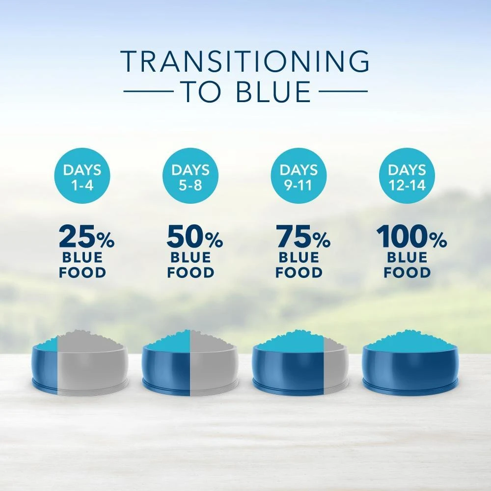 Blue Buffalo Sensitive Stomach Natural Chicken & Brown Rice Dry Cat Food - Image 5