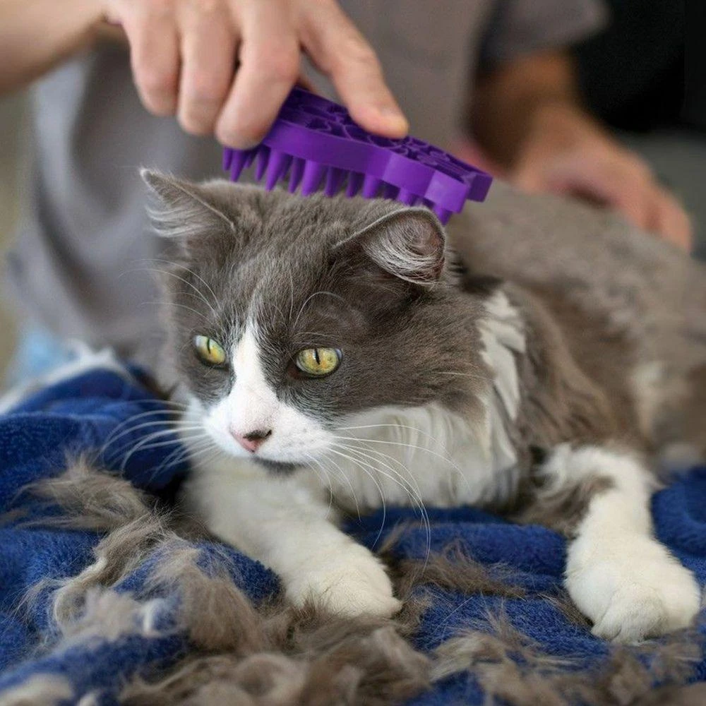 KONG Cat Zoom Groom - Image 2