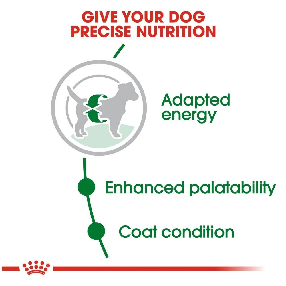 Royal Canin Size Health Nutrition Small Breed Adult Dry Dog Food - Image 3