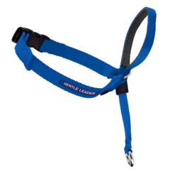Petsafe Gentle Leader Quick Release Royal Blue Headcollar For Dogs