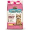 Merrick Purrfect Bistro Grain Free Complete Care Sensitive Stomach Recipe Dry Cat Food