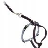 PetSafe Come With Me Kitty Black & Silver Harness And Bungee Leash For Cats