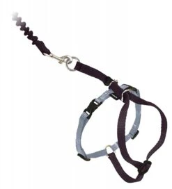 PetSafe Come With Me Kitty Black & Silver Harness And Bungee Leash For Cats