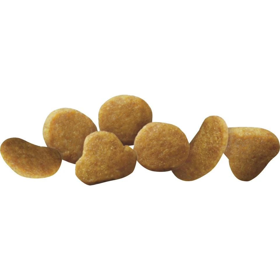 Purina Pro Plan Focus Chicken & Rice Formula Kitten Dry Cat Food - Image 5