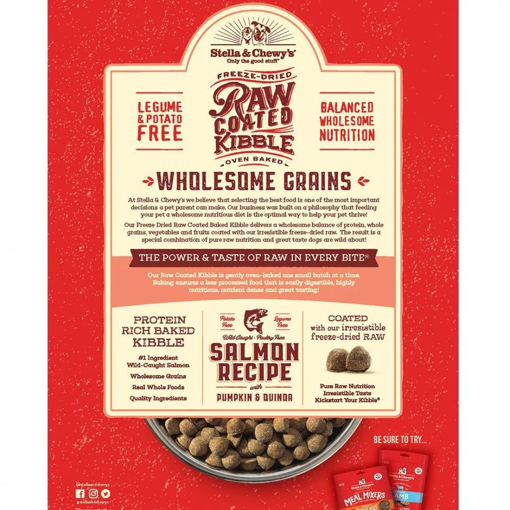 Stella & Chewy's Raw Coated Wholesome Grains Kibble Wild Caught Salmon - Image 2