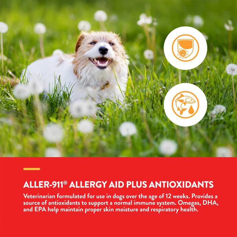 NaturVet Scoopables Aller-911 Allergy Aid For Dogs Chews - Image 3