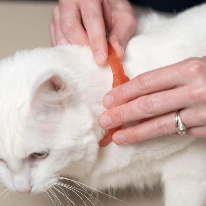 Wondercide Flea & Tick Collar For Dogs + Cats With Natural Essential Oils - Image 2