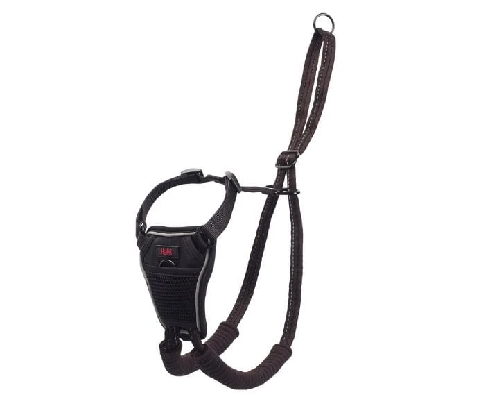 Company Of Animals Halti No Pull Harness