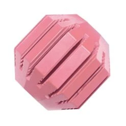 Kong Puppy Activity Ballâ„¢