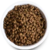 Open Wild-Caught Salmon Dry Cat Food