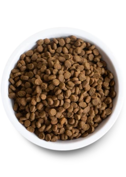 Open Wild-Caught Salmon Dry Cat Food