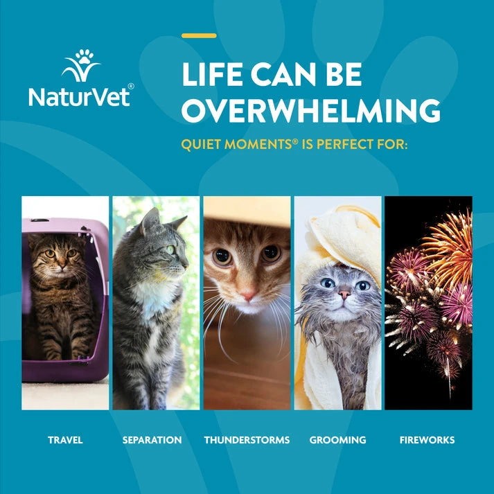 NaturVet Scoopables Quiet MomentsĀ® Calming Aid For Cats - Image 2