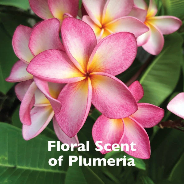 SPA By TropiClean Lavish Nourish Conditioner For Pets - Image 5