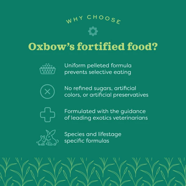 Oxbow Animal Health Essentials - Ferret Food - Image 9