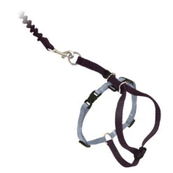 PetSafe Come With Me Kitty™ Black Cat Harness & Bungee Leash