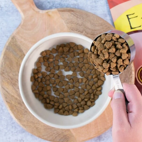 Earthborn Holistic Adult Vantage⢠- Image 3