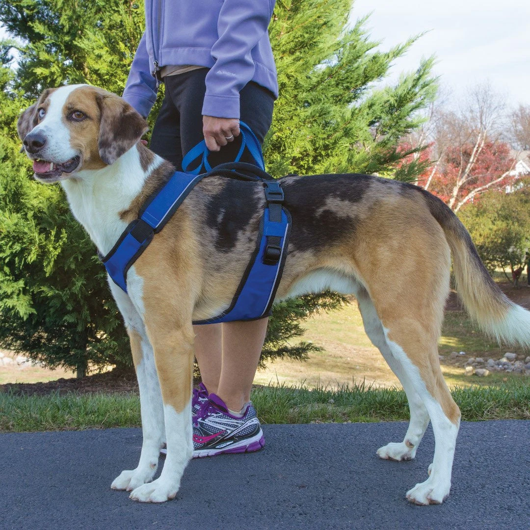Petsafe EasySport Harness - Image 2