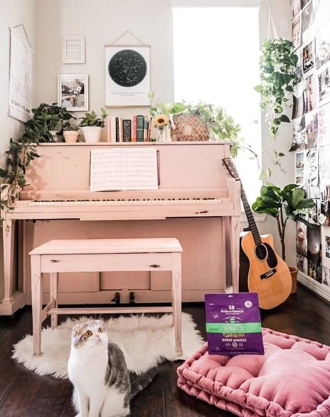 Stella & Chewy's Sea-Licious Salmon & Cod Freeze-Dried Morsels Cat Food - Image 3