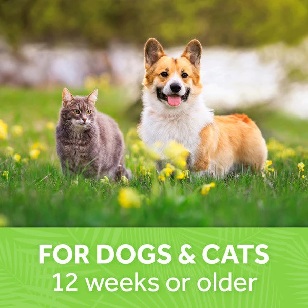 TropiClean Berry Breeze Deodorizing Spray For Pets - Image 8