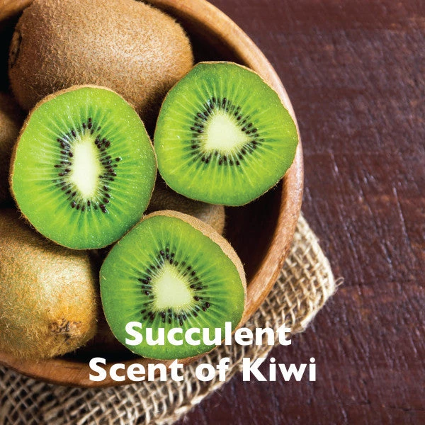 SPA By TropiClean Lavish Comfort Shampoo For Pets - Image 5