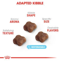 Royal Canin SAS Mother & Babycat Dry Cat Food - Image 2