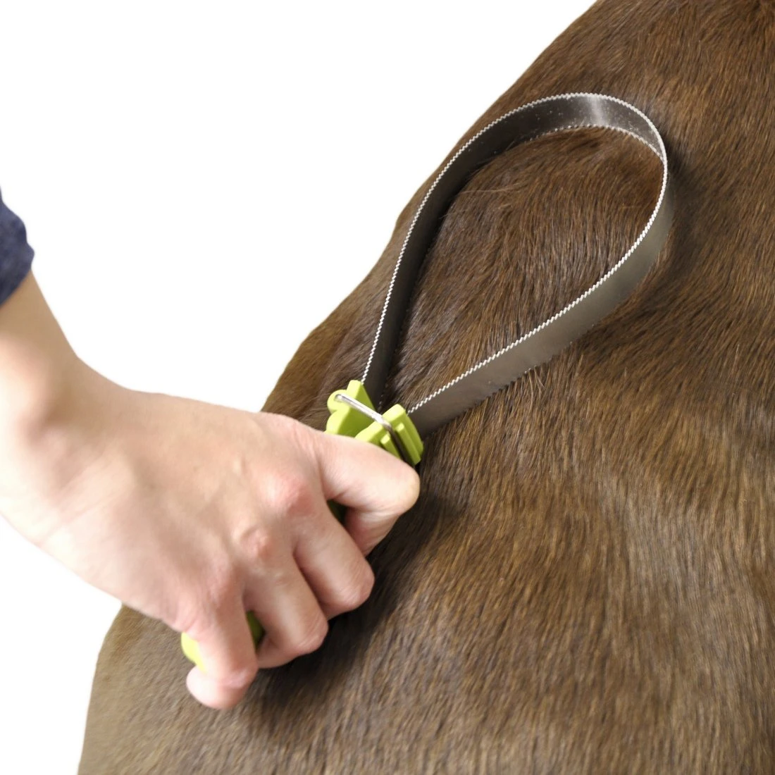 Coastal Pet Products Safari Dual-Sided Dog Shedding Blade - Image 2