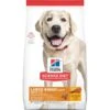 Hill's® Science Diet® Adult Large Breed Light Dog Food