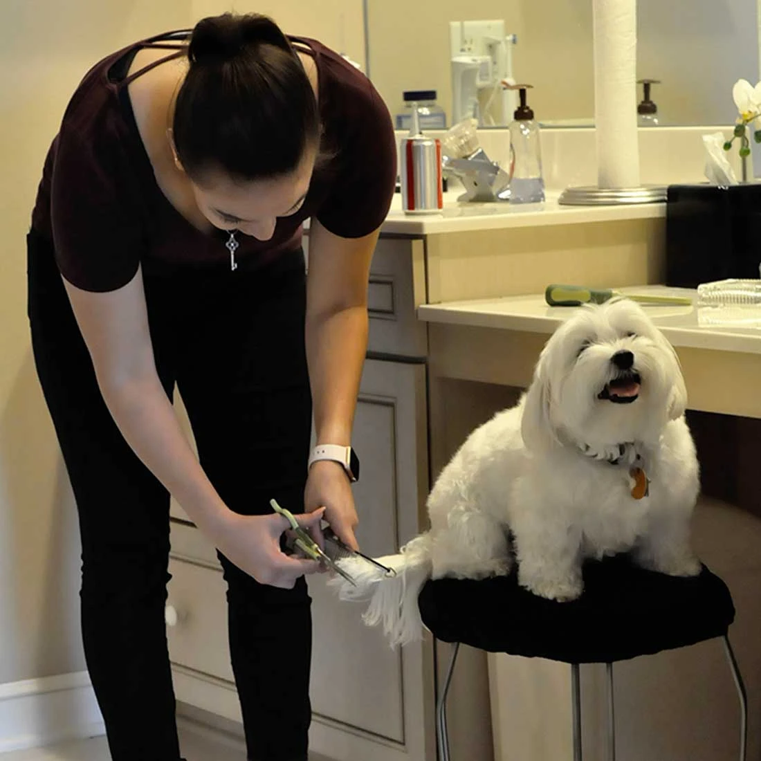 Coastal Pet Products Safari Dog Grooming Combs For Medium And Fine Coats - Image 2