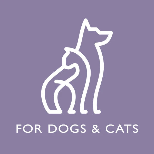 SPA By TropiClean Lavish Nourish Conditioner For Pets - Image 6