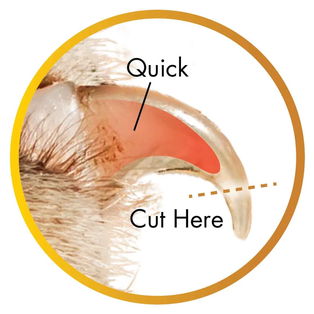 Coastal Pet Products Safari Guillotine Dog Nail Trimmer - Image 5